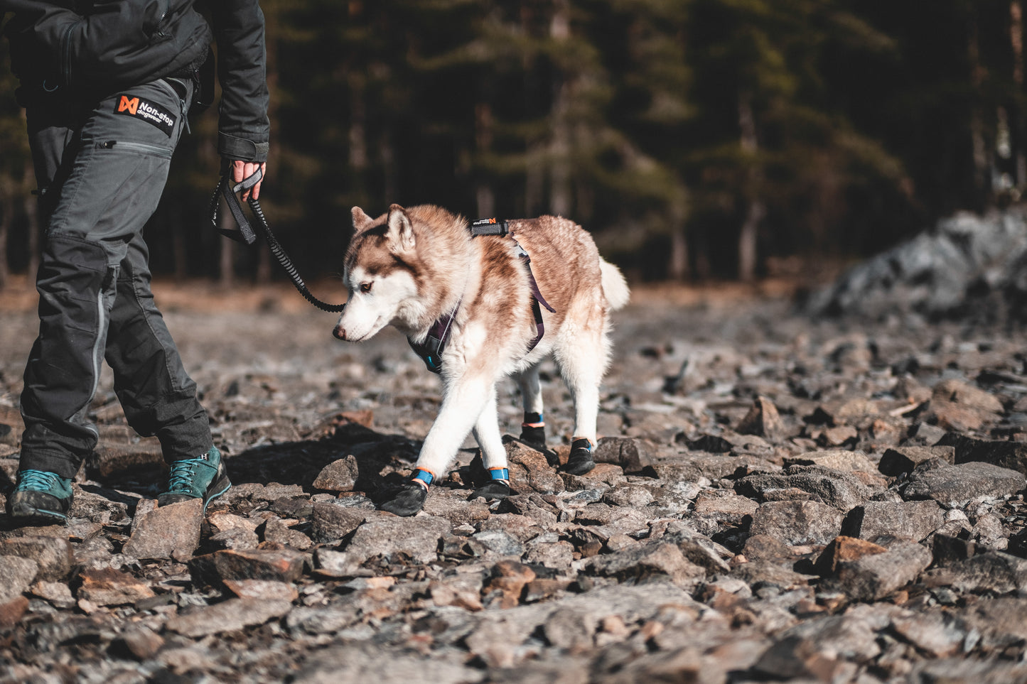Non Stop Dog Wear Protector Bootie 挪威Non Stop Dog Wear狗狗保護鞋(一包四個)防地熱及行山專用